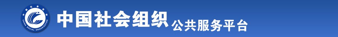 艹比网视频全国社会组织信息查询